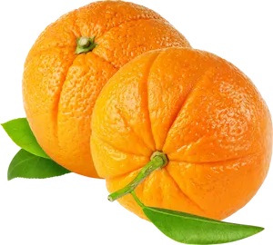 Fresh Orangeswith Leaves PNG Image