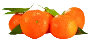 Fresh Orangeswith Leaves PNG Image