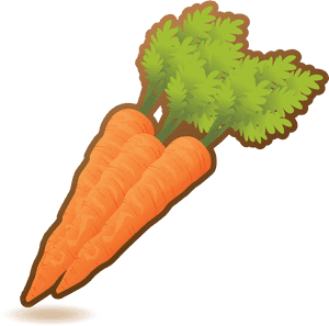 Fresh Organic Carrots Illustration PNG image with transparent background