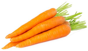 Fresh Organic Carrots Isolated PNG image with transparent background