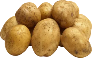 Fresh Organic Potatoes Black Background PNG Image