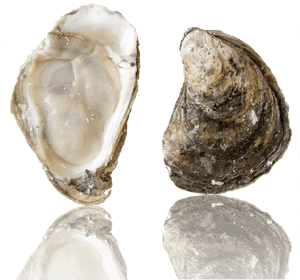 Barcat Oysters, HD Png Download PNG with transparent background