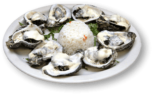 Tiostrea Chilensis, HD Png Download PNG with transparent background