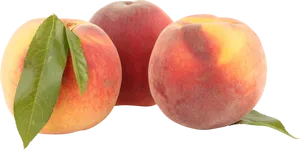 Fresh Peaches Black Background PNG Image