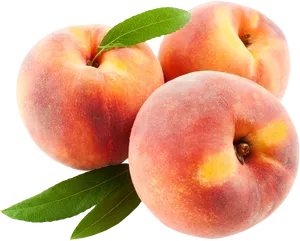 Fresh Peacheswith Leaf.png PNG Image