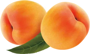 Fresh Peacheswith Leaf PNG Image