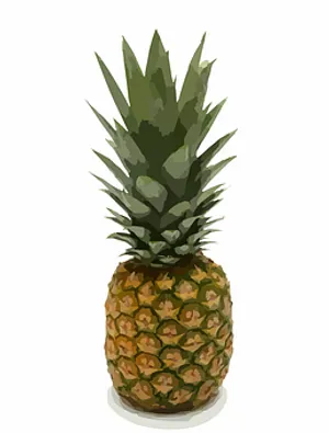 Fresh Pineapple Illustration PNG Image