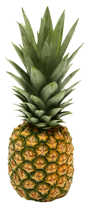 Fresh Pineapple Isolatedon Background PNG image with transparent background