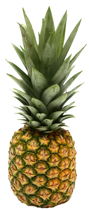 Fresh Pineapple Isolatedon Background PNG Image