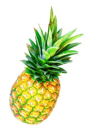 Fresh Pineapple Isolatedon Gray PNG image with transparent background