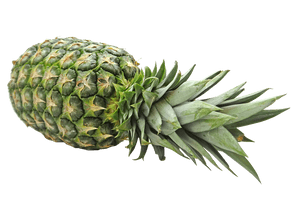 Fresh Pineapple Isolatedon Transparent Background.png PNG image with transparent background