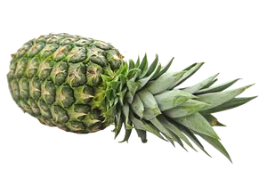 Fresh Pineapple Isolatedon Transparent Background.png PNG Image