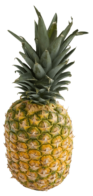 Fresh Pineapple Standing Isolated.png PNG image with transparent background