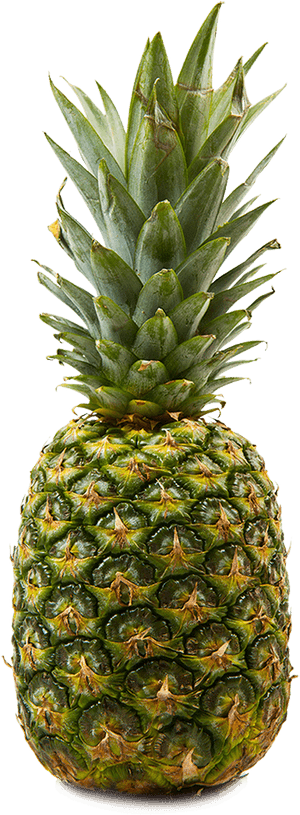 All Fruits, HD Png Download PNG image with transparent background