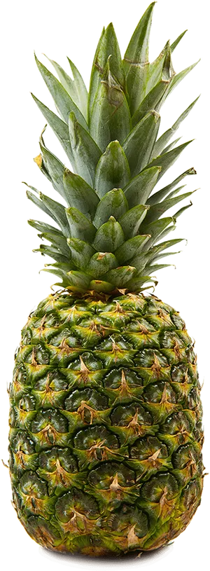 Fresh Pineapple Tropical Fruit PNG Image