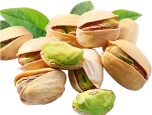 Fresh Pistachios With Leaves.png PNG Image