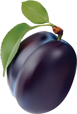 Fresh Plumwith Leaf PNG Image