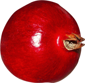 Fresh Pomegranate Png Image - Pomegranate, Transparent Png PNG with transparent background