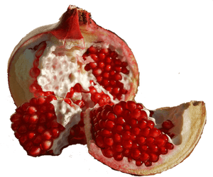 Pomegranate Transparent Free Png - Eve Pomegranate, Png Download PNG with transparent background