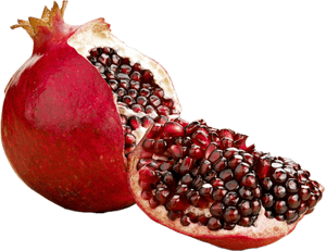 Transparent Pomegranate Clipart - No Pomegranates, HD Png Download PNG with transparent background