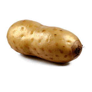 Fresh Potato PNG 96 PNG image with transparent background