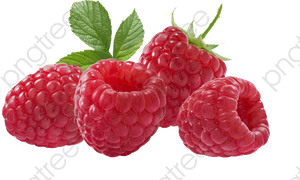 Red Berries Strawberries - Red Berries Png, Transparent Png PNG image with transparent background