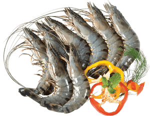 Black Tiger Shrimp 고화질, HD Png Download PNG image with transparent background
