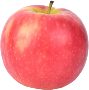 Fresh Red Apple Isolated PNG Image