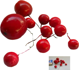 Fresh Red Cherries Transparent Background PNG Image