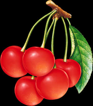 Cherries Png Image - Bunch Of Cherries Clipart, Transparent Png PNG image with transparent background