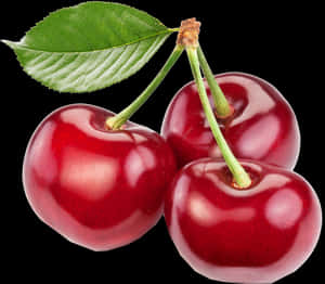Cherries Png Transparent Background - Transparent Background Cherry Png Transparent, Png Download PNG image with transparent background