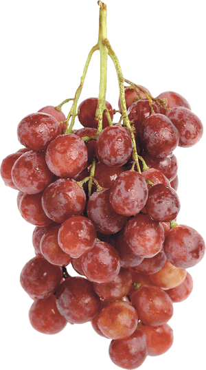 Red Grapes Png Image - Red Grapes Transparent Background, Png Download PNG image with transparent background