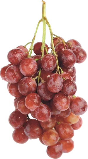 Fresh Red Grape Cluster.png PNG Image