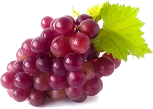 Fresh Red Grapes Cluster.png PNG Image