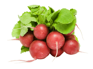 Fresh Red Radishes Bunch PNG image with transparent background