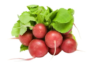 Fresh Red Radishes Bunch PNG Image