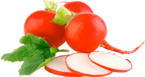 Fresh Red Radisheswith Slices.png PNG Image