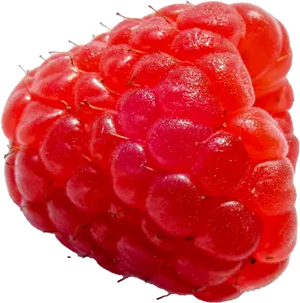 Fresh Red Raspberry Closeup.png PNG Image