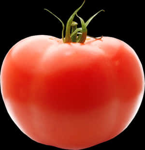 Tomato Png Transparent Background, Png Download PNG image with transparent background
