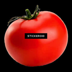 Tomato Clip Art - Tomato, HD Png Download PNG image with transparent background