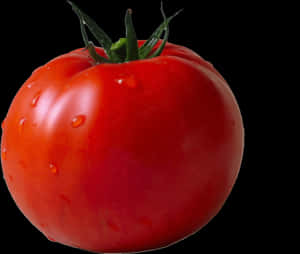 Tomato - Tomato Transparent Background, HD Png Download PNG image with transparent background