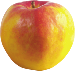 Fresh Red Yellow Apple Isolated.png PNG image with transparent background