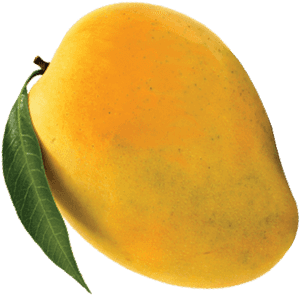 Fresh Ripe Mango With Leaf PNG with transparent background