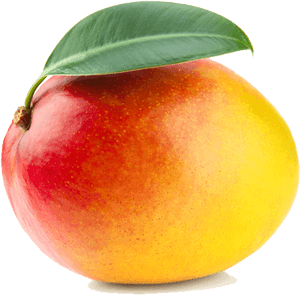Fresh Ripe Mango With Leaf PNG with transparent background