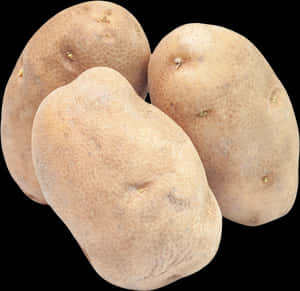Fresh Russet Potatoes Isolated PNG with transparent background