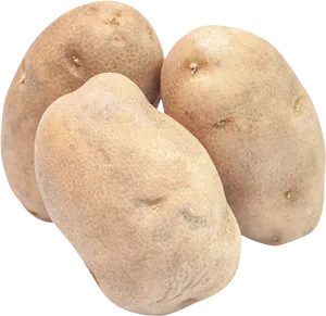 Fresh Russet Potatoes Isolated PNG Image