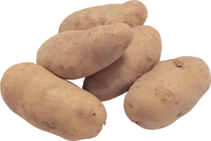 Fresh Russet Potatoes Isolated PNG Image