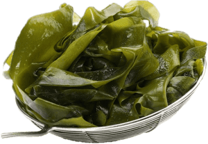 Fresh Seaweed Clip Arts - Влияние Йода На Организм, HD Png Download PNG with transparent background