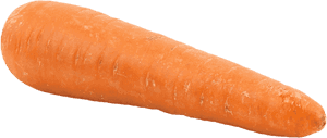 Fresh Single Carrot Isolated.png PNG image with transparent background