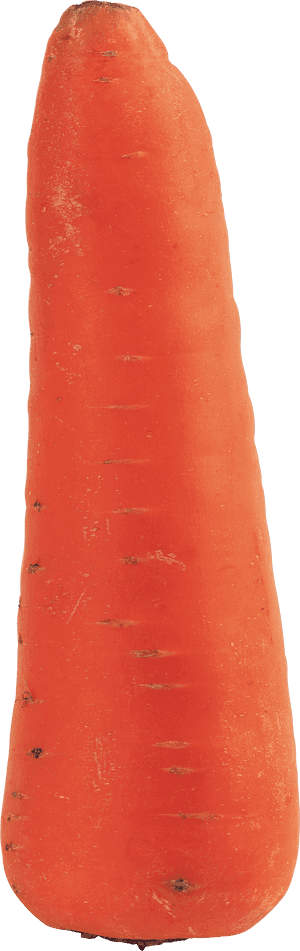 Fresh Single Carrot Isolated PNG image with transparent background